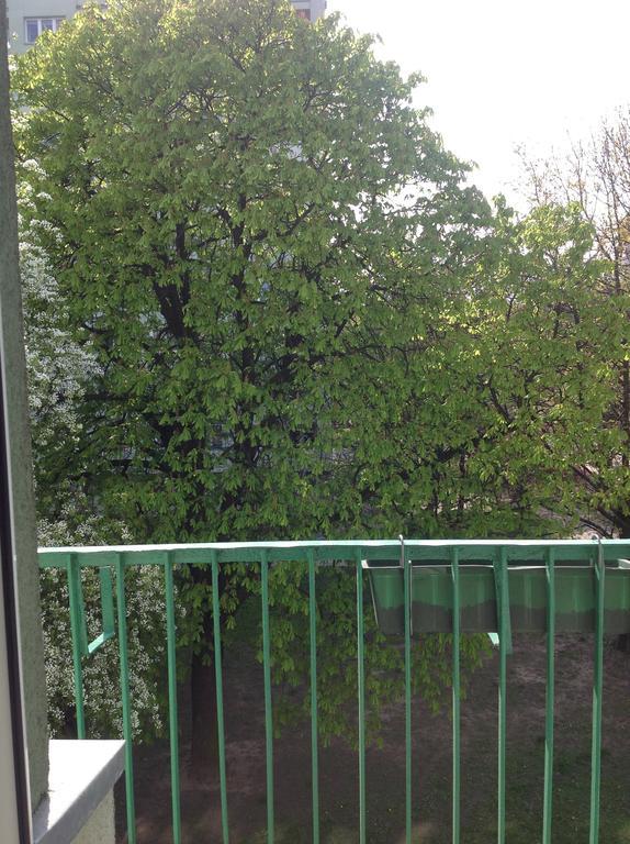 Kazimir Apartament Lodz المظهر الخارجي الصورة